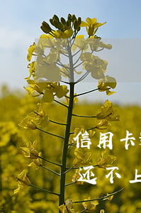 信用卡逾期无力偿还怎么处理(信用卡逾期了还不上要怎么处理方法)