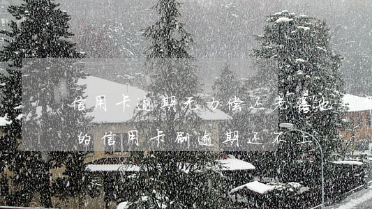 信用卡逾期无力偿还老婆也不帮忙(老公把我的信用卡刷逾期还不上)