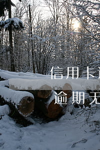 信用卡逾期无力偿还能申请低保吗-信用卡逾期无力偿还能申请低保吗知乎
