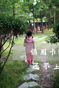 信用卡逾期无力还款停息挂账银行(欠信用卡还不上可以向法院申请停息挂账吗)
