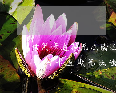 信用卡逾期无法偿还分36期还本金协商-信用卡逾期无法偿还分36期还本金协商有用吗
