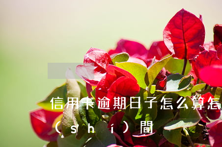 信用卡逾期日子怎么算 怎么看信用卡逾期時(shí)間