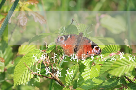 信用卡逾期日是怎么算的-什么情況下信用卡算逾期