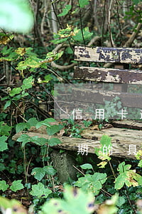 信用卡逾期日期怎么查得到(怎么查信用卡逾期的具體時間)