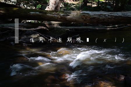 信用卡逾期明細(xì)在哪看