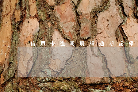 信用卡逾期明細(逾期記錄申請信用卡)