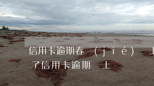 信用卡逾期春節(jié)會上門嗎(快過年了信用卡逾期會上門嗎)
