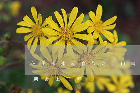 信用卡逾期春节会上门吗(快过年了信用卡逾期会上门吗)