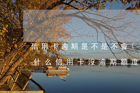 信用卡逾期是不是不會(huì)提額了 為什么信用卡沒逾期額度會(huì)下降