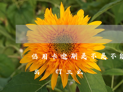 信用卡逾期是不是不能出國(欠信用卡逾期能出國打工么)