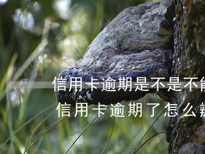 信用卡逾期是不是不能貸款了-銀行貸款和信用卡逾期了怎么辦