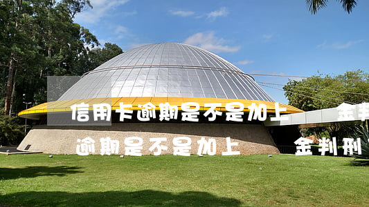 信用卡逾期是不是加上滯納金判刑-信用卡逾期是不是加上滯納金判刑了