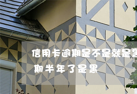 信用卡逾期是不是就是黑戶了-我信用卡逾期半年了是黑戶嗎