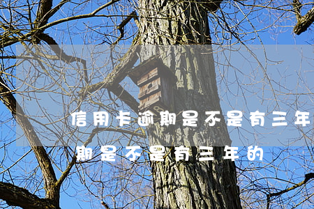 信用卡逾期是不是有三年的訴訟-信用卡逾期是不是有三年的訴訟時效