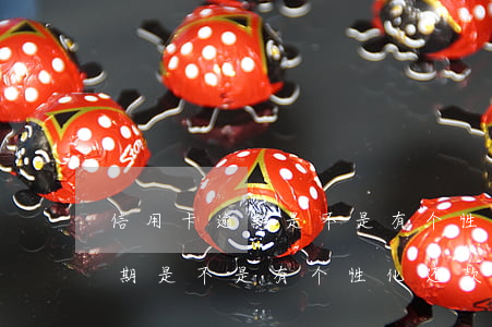 信用卡逾期是不是有个性化还款-信用卡逾期是不是有个性化还款的