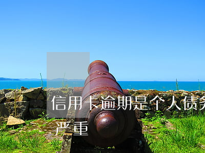 信用卡逾期是个人债务吗(什么叫信用卡逾期严重)