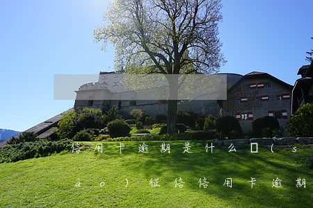 信用卡逾期是什么時(shí)候上報(bào)征信(信用卡逾期兩天會(huì)上征信嗎)