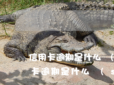 信用卡逾期是什么時(shí)候算起(信用卡逾期是什么時(shí)候算起)