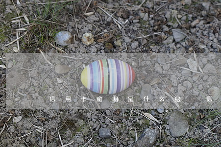 信用卡逾期是什么級別(信用卡逾期分類標準)