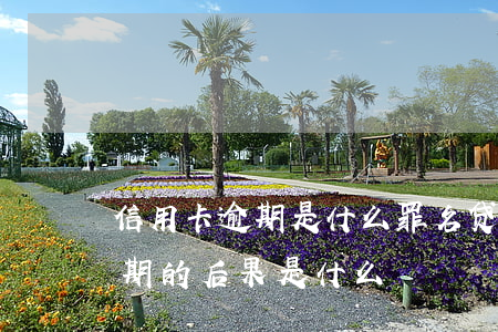 信用卡逾期是什么罪名(贷款逾期与信用卡逾期的后果是什么)