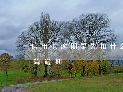 信用卡逾期是先扣什么錢(什么情況下信用卡算逾期)