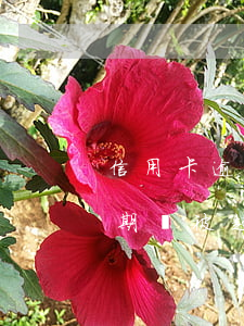信用卡逾期是先起訴嗎 什么情況下信用卡逾期會被起訴