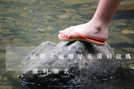 信用卡逾期是先還利息嗎-逾期后還錢是先還利息么