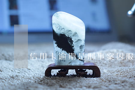 信用卡逾期是刑事案(因服刑信用卡逾期)