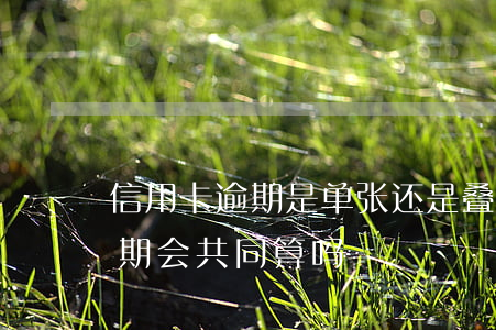 信用卡逾期是单张还是叠加(不同的信用卡逾期会共同算吗)