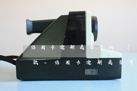 信用卡逾期是否可以協(xié)商分期還款-信用卡逾期是否可以協(xié)商分期還款呢