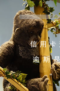 信用卡逾期是否可以向檢察院立案-信用卡逾期是否可以向檢察院立案起訴
