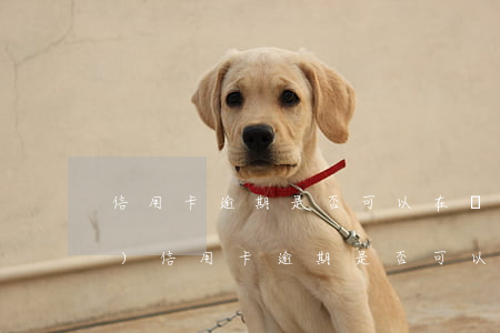 信用卡逾期是否可以在銀行申請(qǐng)(信用卡逾期是否可以在銀行申請(qǐng))