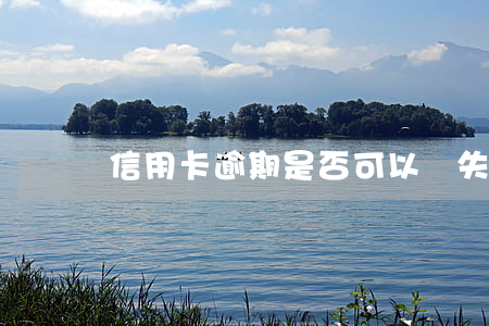 信用卡逾期是否可以掛失(信用卡掛失能還款嗎)