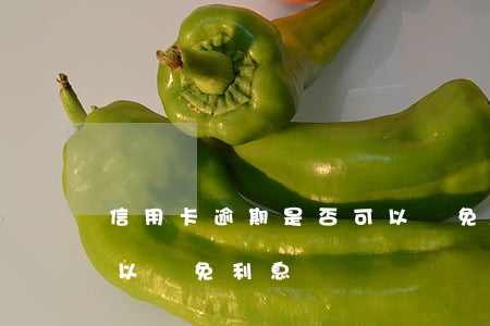 信用卡逾期是否可以減免(信用卡逾期是否可以減免利息)