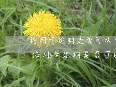 信用卡逾期是否可以申請(qǐng)停息 信用卡逾期是否可以申請(qǐng)停息掛帳