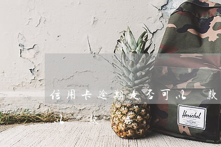 信用卡逾期是否可以貸款(信用卡逾期是否可以貸款買房)
