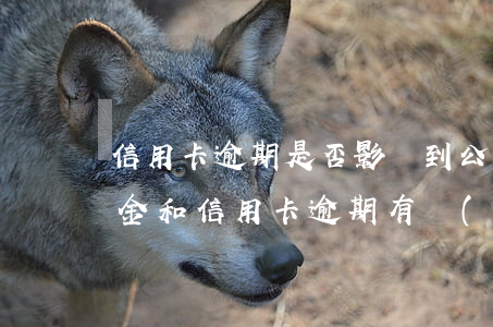 信用卡逾期是否影響到公積金-交住房公積金和信用卡逾期有關(guān)系嗎?