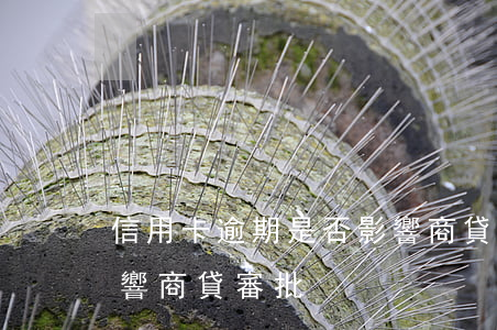 信用卡逾期是否影響商貸(信用卡逾期是否影響商貸審批)