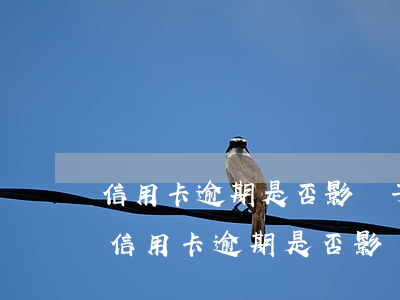 信用卡逾期是否影響子女考大學(xué)（信用卡逾期是否影響子女考大學(xué)）
