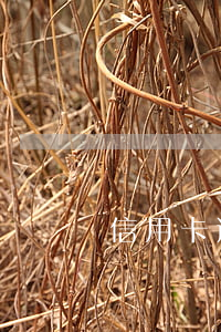 信用卡逾期是否影響房貸申請(qǐng)