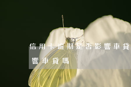 信用卡逾期是否影響車貸(信用卡小額逾期影響車貸嗎)