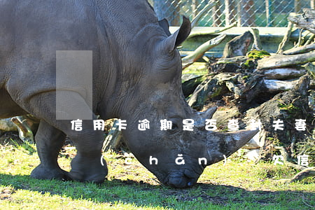 信用卡逾期是否查封夫妻共同財(cái)產(chǎn)-欠信用卡會(huì)查封夫妻共同財(cái)產(chǎn)房子嗎