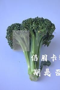 信用卡逾期是否被起訴了怎么查-信用卡逾期是否被起訴了怎么查詢