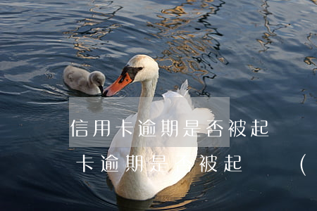 信用卡逾期是否被起訴過(guò)-信用卡逾期是否被起訴過(guò)怎么查