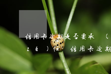 信用卡逾期是否要承擔(dān)法律責(zé)任-信用卡逾期是否要承擔(dān)法律責(zé)任呢