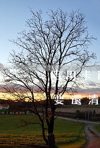 信用卡逾期是否要賣房還債(賣房子信用卡需要還清嗎?)