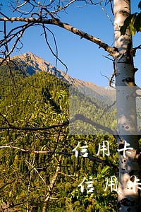 信用卡逾期是哪個(gè)部門傳喚(別人的信用卡逾期為什么會(huì)打電話給我)