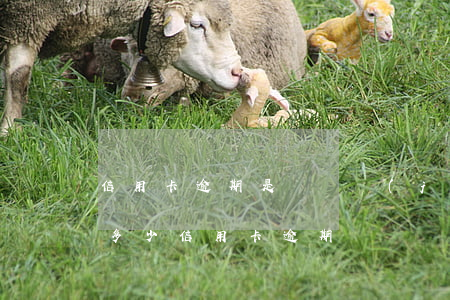 信用卡逾期是單張計(jì)算還是總額(有多少信用卡逾期)