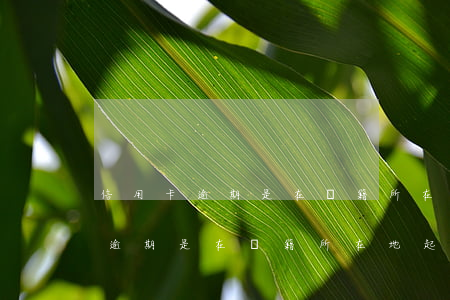 信用卡逾期是在戶籍所在地起訴嗎-信用卡逾期是在戶籍所在地起訴嗎怎么辦