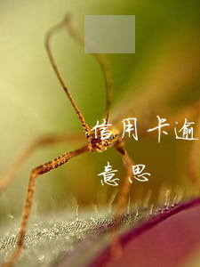 信用卡逾期是外包公司还吗(逾期外包是什么意思)